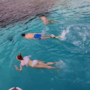 미국 사이판 바다거북과 함께하는 스노클링&프리다이빙 (메가커피 증정 이벤... 솔직 후기 | 실사용자 리뷰 분석 - 상품 이미지 3