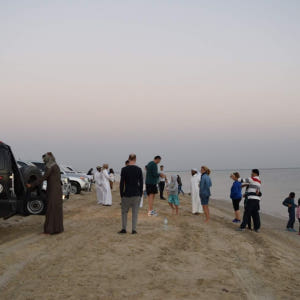 카타르  도하 코 알 아다이드 가이드 투어 솔직 후기 | 실사용자 리뷰 분석 - 상품 이미지 2