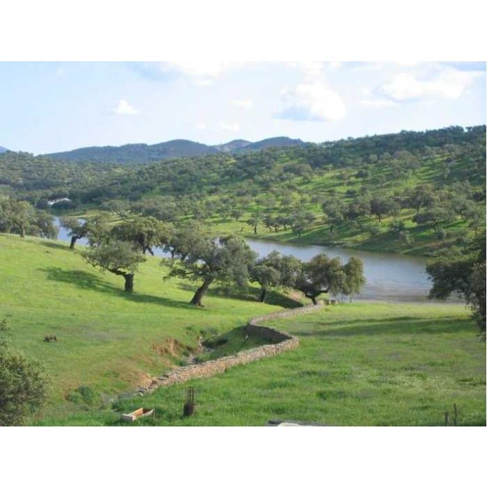 스페인 세비야 출발 아라세나 & 리오 틴토 광산 전일 투어 이미지 3