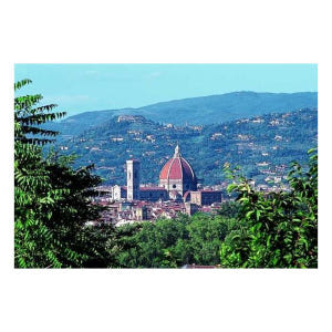 이탈리아 로마에서 점심 포함 피렌체 당일 여행 솔직 후기 | 실사용자 리뷰 분석 - 상품 이미지 2