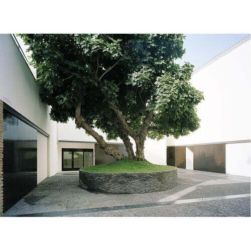 스페인 말라가 피카소 박물관 가이드 투어 솔직 후기 | 실사용자 리뷰 분석 - 대표 이미지