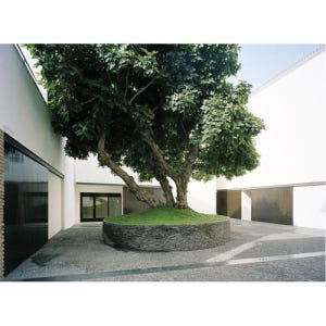 스페인 말라가 피카소 박물관 가이드 투어 솔직 후기 | 실사용자 리뷰 분석 - 상품 이미지 1