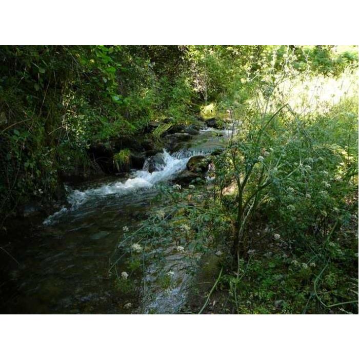 스페인 세비야 출발 아라세나 & 리오 틴토 광산 전일 투어 이미지 4