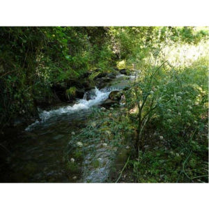 스페인 세비야 출발 아라세나 & 리오 틴토 광산 전일 투어 솔직 후기 | 실사용자 리뷰 분석 - 상품 이미지 4