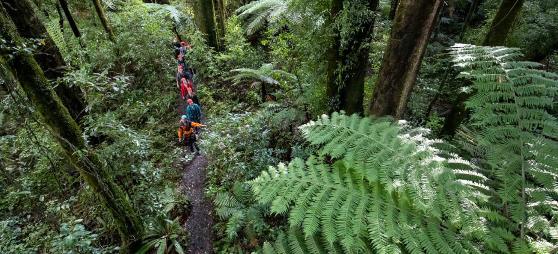 뉴질랜드 로토루아 포레스트 짚라인 궁극의 캐노피 투어 이미지 3