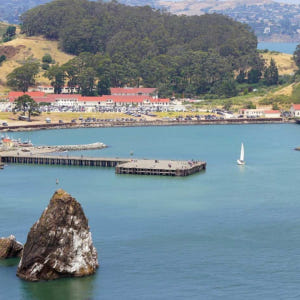 미국 샌프란시스코 뮤어우즈 국립공원(레드우드&소살리토) 오전투어 [샌프란... 솔직 후기 | 실사용자 리뷰 분석 - 상품 이미지 2