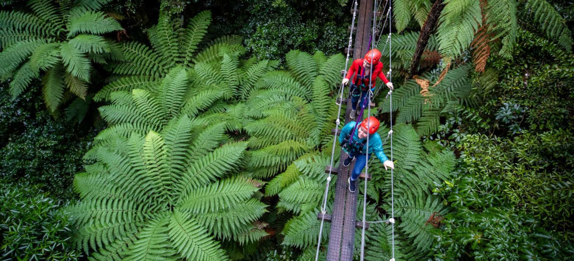 뉴질랜드 로토루아 포레스트 짚라인 궁극의 캐노피 투어 이미지 4