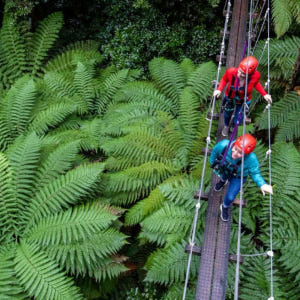 뉴질랜드 로토루아 포레스트 짚라인 궁극의 캐노피 투어 솔직 후기 | 실사용자 리뷰 분석 - 상품 이미지 4