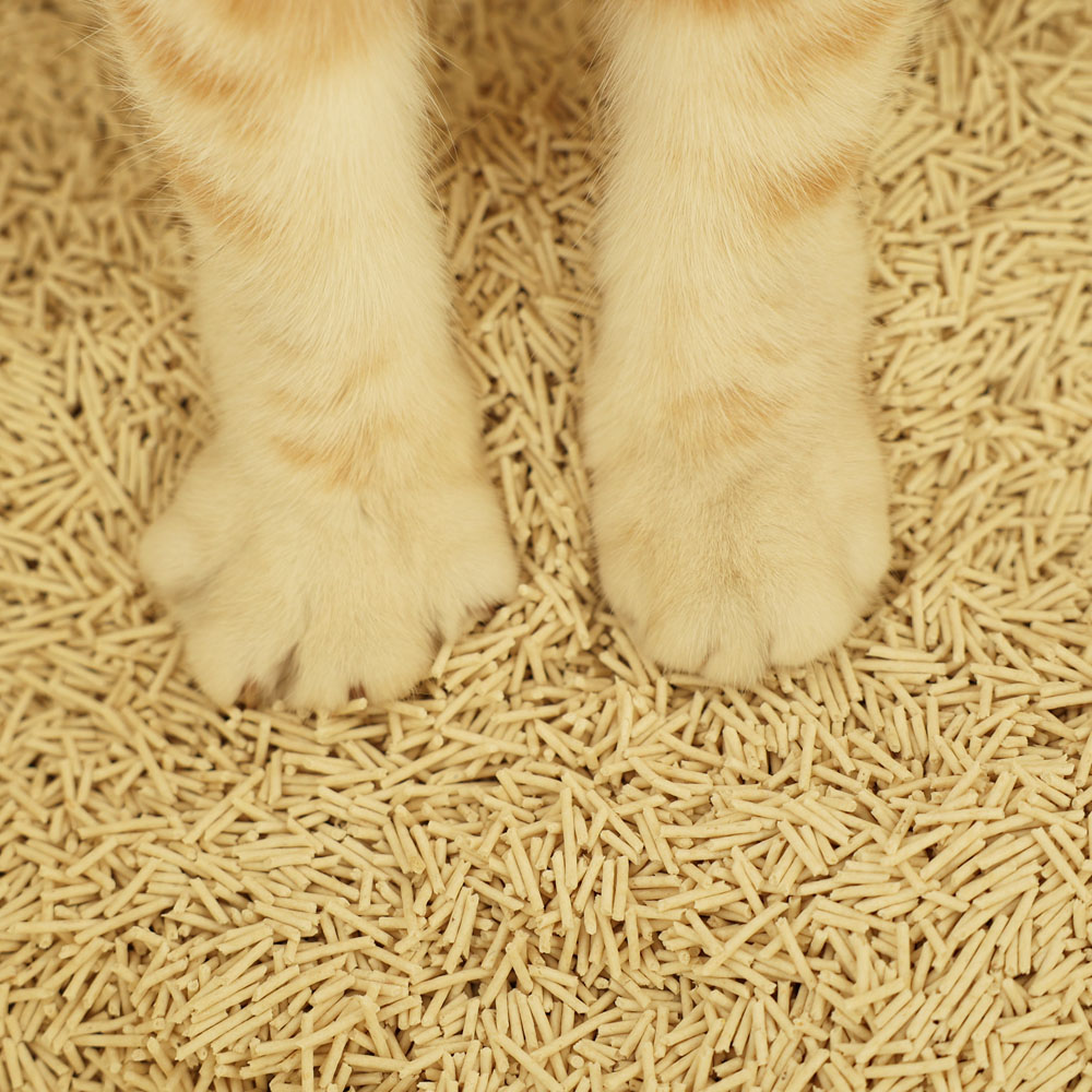 두부혁명 먼지없는 고양이 두부모래 슬림입자 2.5kg x 5개입