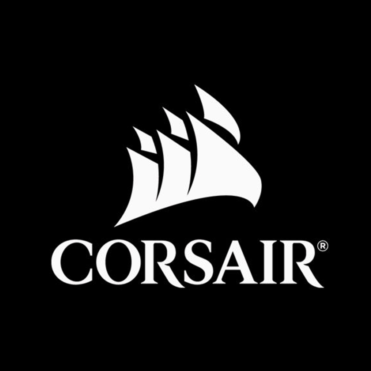 커세어 공식 브랜드 스토어 스토어 로고