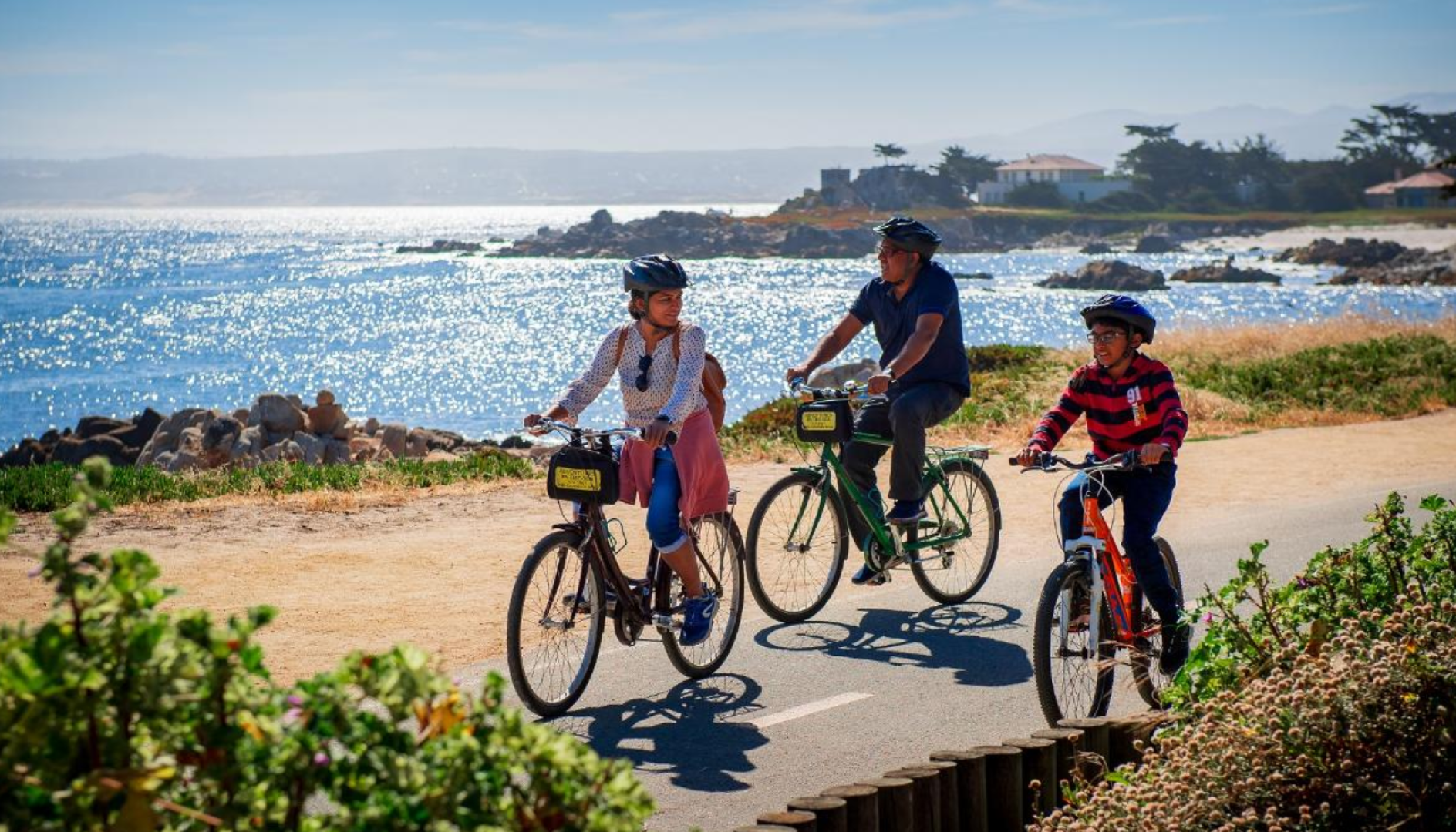 미국 샌프란시스코 일일투어 | 몬터레이 & 카멜 (샌프란시스코 시내 출발) 이미지 3