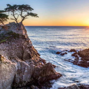 미국 샌프란시스코 일일투어 | 몬터레이 & 카멜 (샌프란시스코 시내 출발... 솔직 후기 | 실사용자 리뷰 분석 - 상품 이미지 1