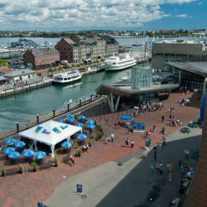 미국 보스턴 뉴잉글랜드 수족관 티켓 및 옵션 3D IMAX 영화 티켓 솔직 후기 | 실사용자 리뷰 분석 - 상품 이미지 2