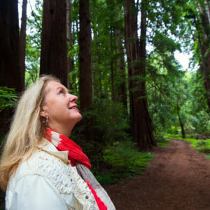 미국 샌프란시스코 뮤어우즈 국립공원(레드우드&소살리토) 오전투어 [샌프란... 솔직 후기 | 실사용자 리뷰 분석 - 상품 이미지 4