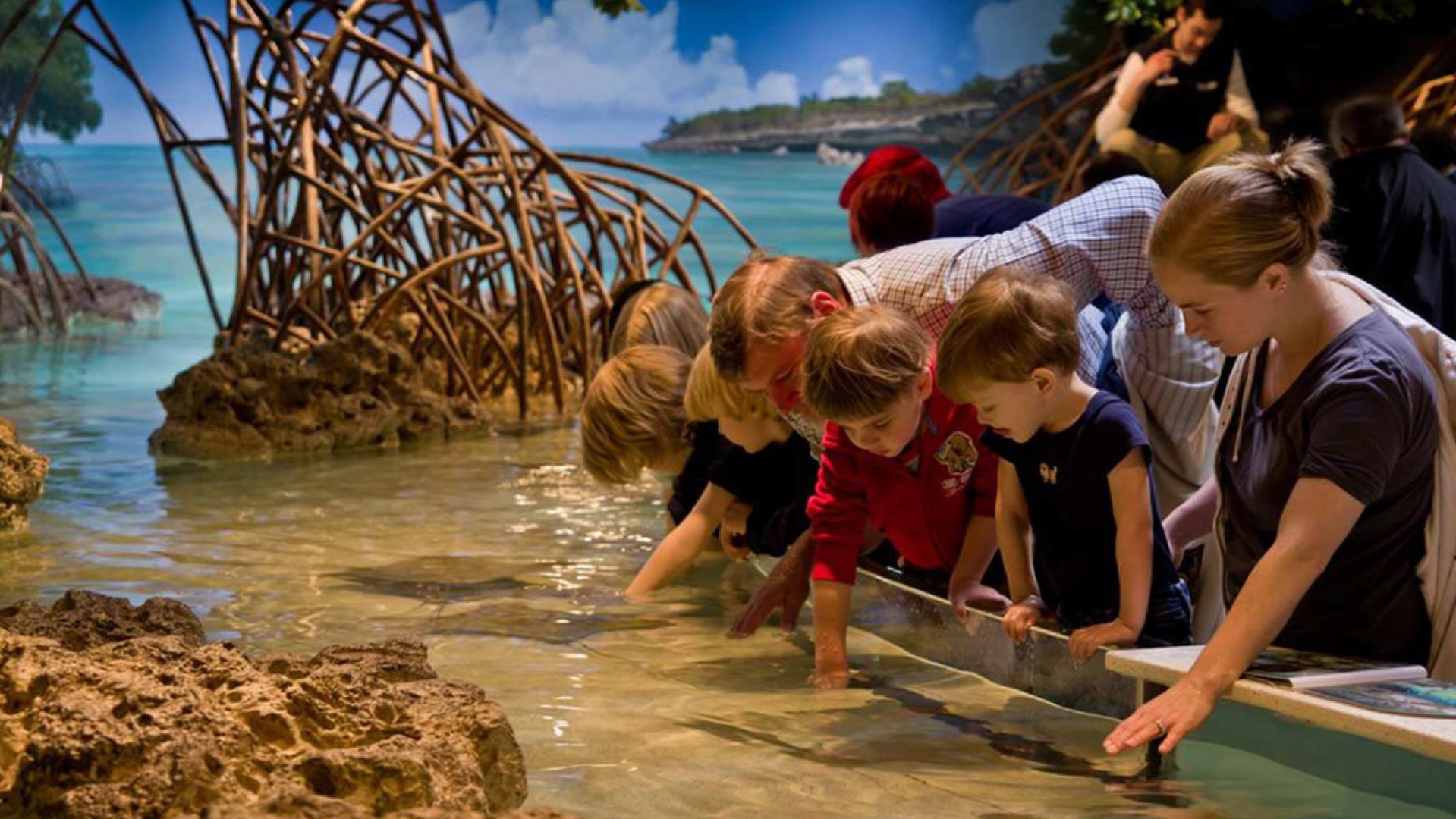 미국 보스턴 뉴잉글랜드 수족관 티켓 및 옵션 3D IMAX 영화 티켓 이미지 1