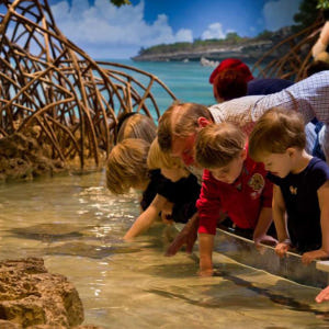 미국 보스턴 뉴잉글랜드 수족관 티켓 및 옵션 3D IMAX 영화 티켓 솔직 후기 | 실사용자 리뷰 분석 - 상품 이미지 1