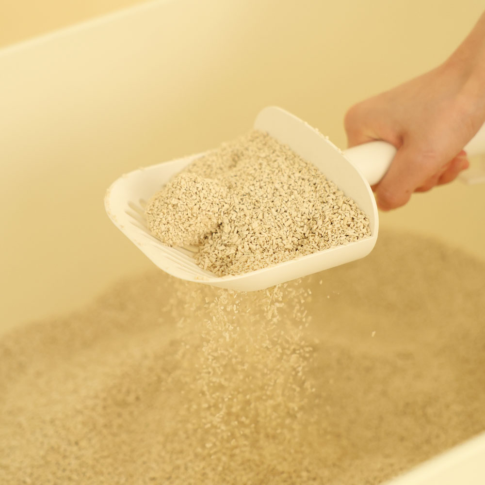 두부혁명 먼지없는 고양이 두부모래 슬림입자 2.5kg x 5개입