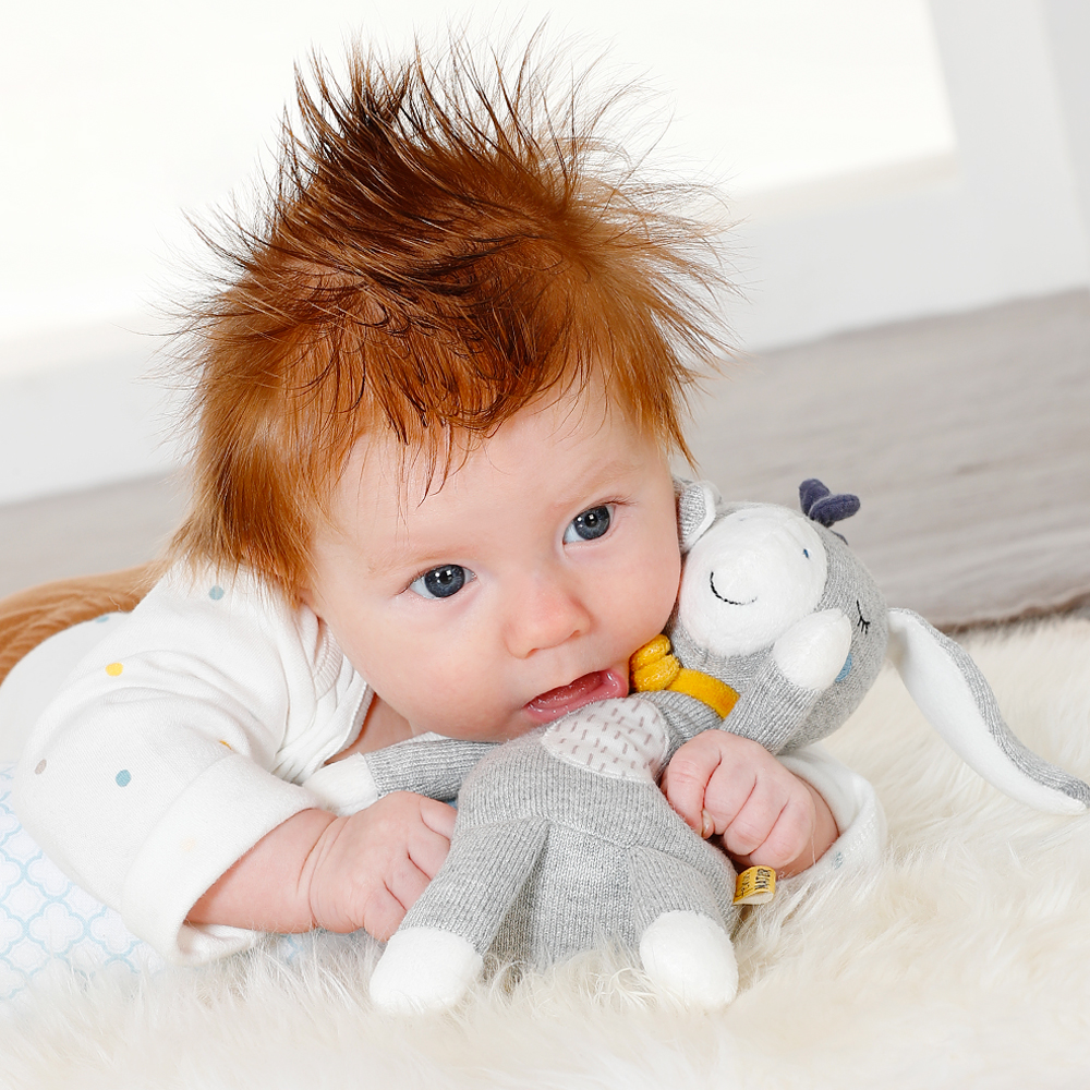 베이비펜 동키 애착 인형 봉제 촉감 발달 헝겊 완구