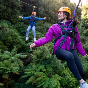 뉴질랜드 로토루아 포레스트 짚라인 궁극의 캐노피 투어 솔직 후기 | 실사용자 리뷰 분석 - 상품 이미지 2