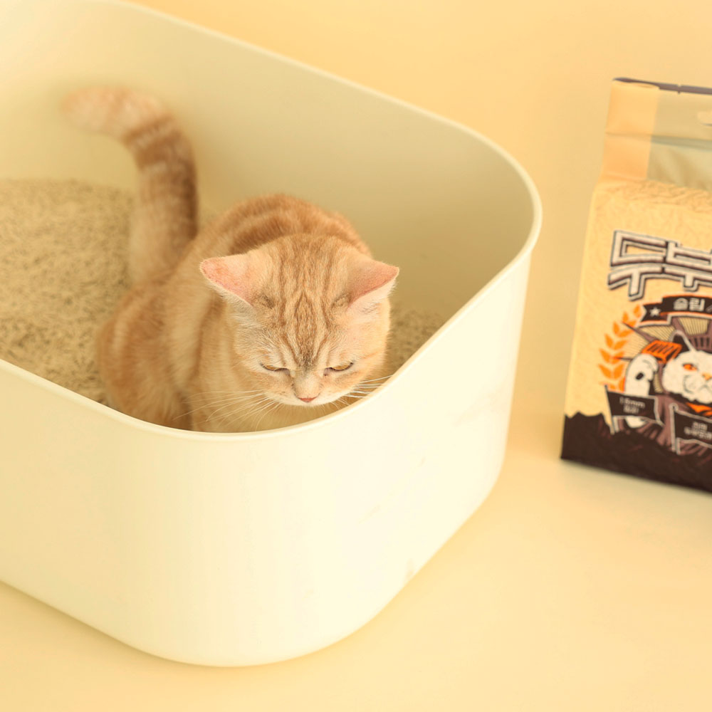 두부혁명 먼지없는 고양이 두부모래 슬림입자 2.5kg x 5개입