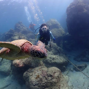 미국 사이판 해양스포츠 투어 솔직 후기 | 실사용자 리뷰 분석 - 상품 이미지 4