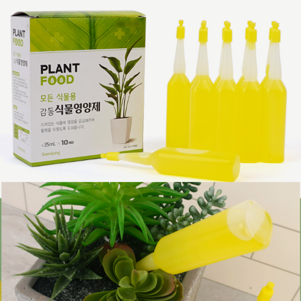 모든식물영양제 10P 꽂아쓰는화초앰플 복합비료 꽃 관엽 - 메인 이미지