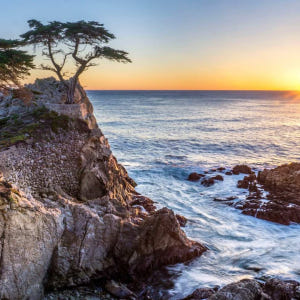 미국 샌프란시스코 일일투어｜몬터레이, 17마일 드라이브 & 카멜｜도심 출... 솔직 후기 | 실사용자 리뷰 분석 - 상품 이미지 4