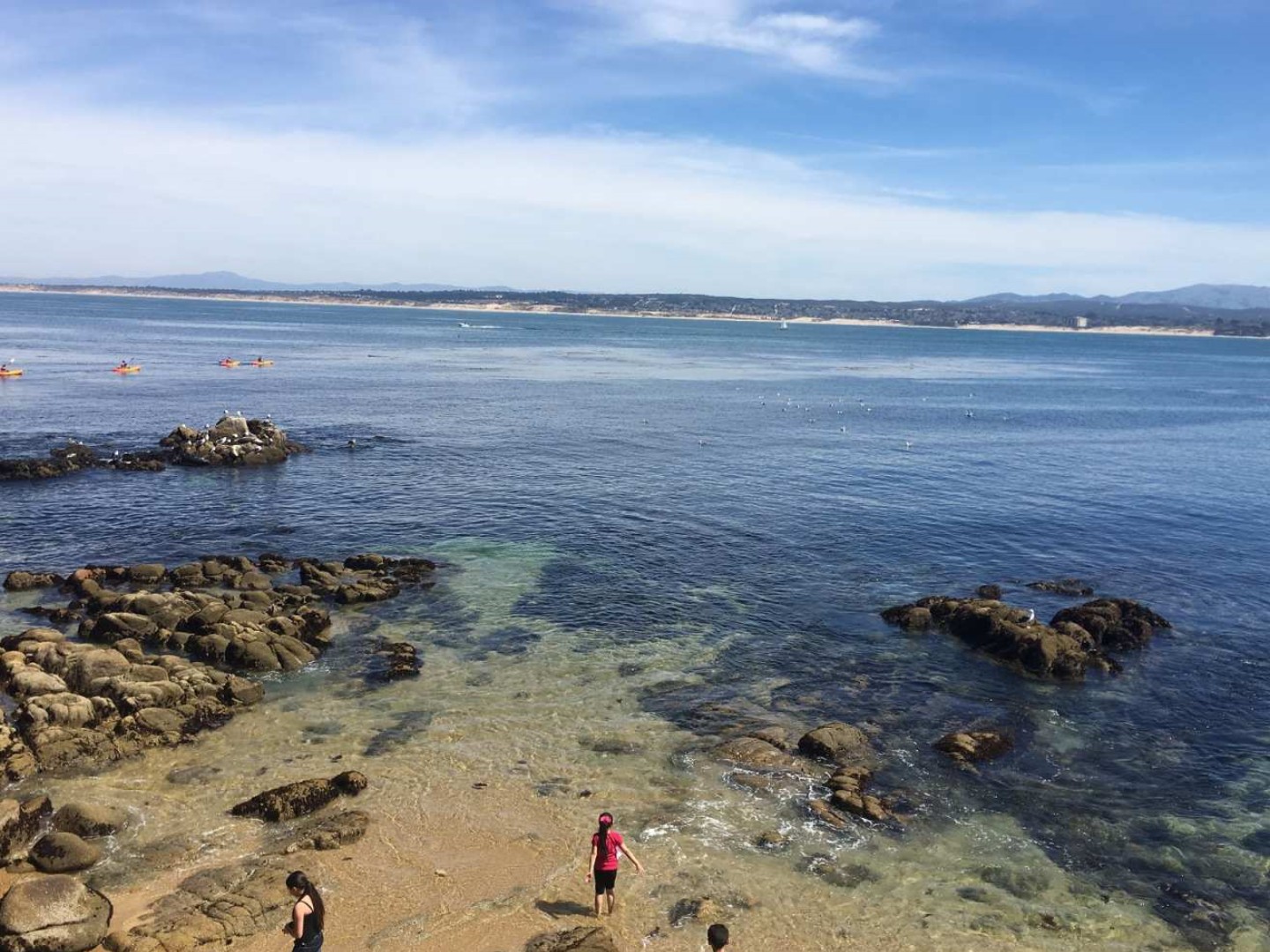 미국 샌프란시스코 일일투어｜몬터레이, 17마일 드라이브 & 카멜｜도심 출발 이미지 3