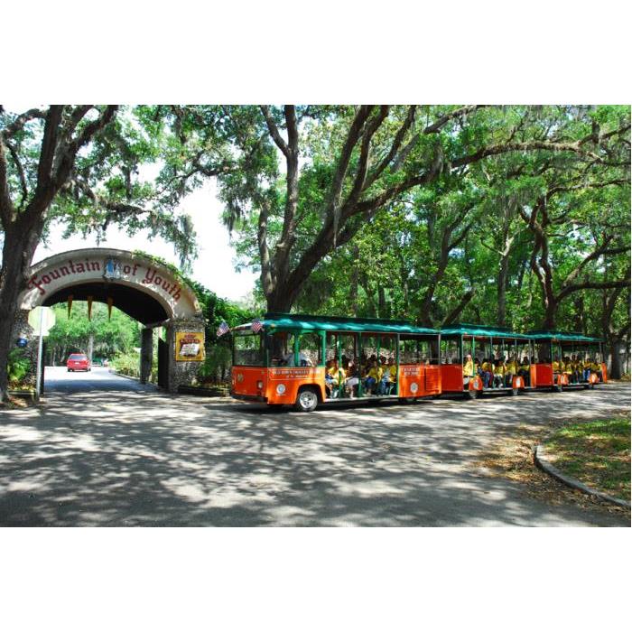 미국 플로리다 세인트오거스틴 호프온 호프오프 올드타운 트롤리 티켓 이미지 4