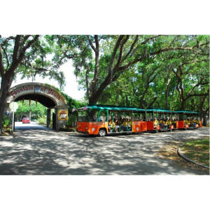 미국 플로리다 세인트오거스틴 호프온 호프오프 올드타운 트롤리 티켓 솔직 후기 | 실사용자 리뷰 분석 - 상품 이미지 4