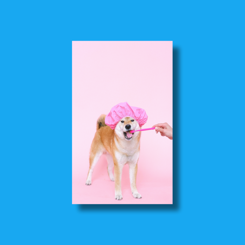 카드 커버 스티커 제작 신용 체크 교통 버스 카드 커스텀 꾸미기 리폼 꾸미기 만들기 주문 이미지 6