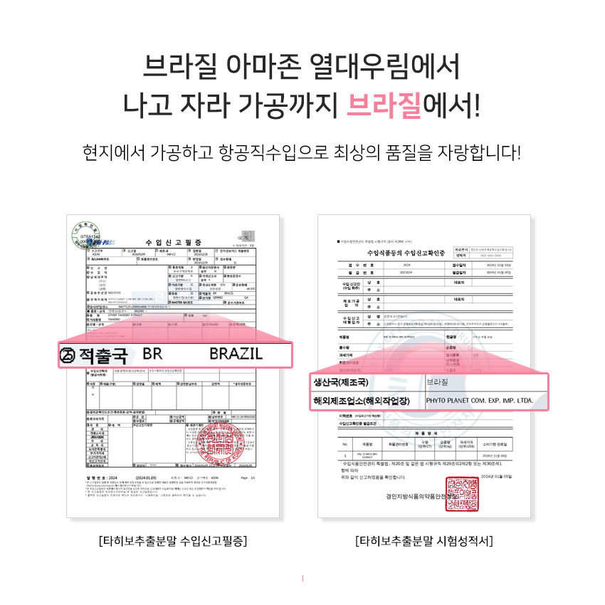 브라질산 타히보 추출물 분말 타히보껍질 가루 파우더 240g 효능 이미지 3