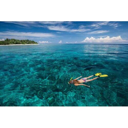 인도네시아 발리에서 길리 제도까지 호텔 포함 2일 투어 솔직 후기 | 실사용자 리뷰 분석 - 대표 이미지