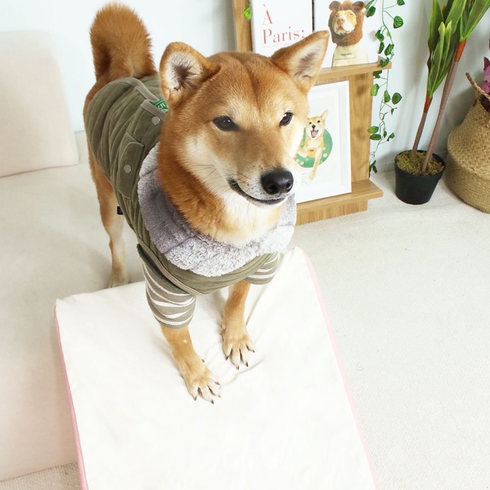 개과천선 M브리 강아지 논슬립 펫스텝 슬개골 예방 소형견 노견 애견 슬라이드 계단 - 상세 이미지 3