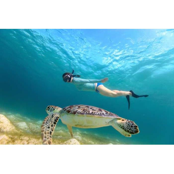 인도네시아 발리에서 길리 제도까지 호텔 포함 2일 투어 이미지 3