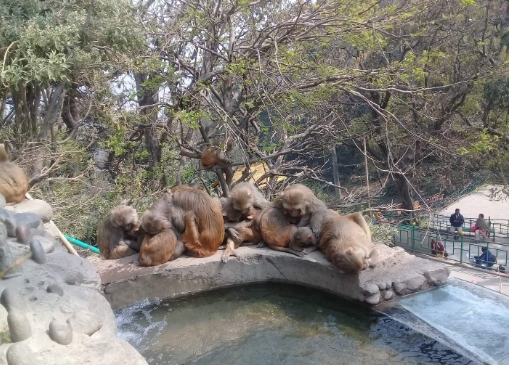 네팔  카트만두 컬쳐 워킹 투어 솔직 후기 | 실사용자 리뷰 분석 - 대표 이미지