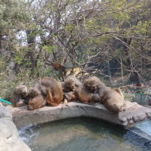 네팔  카트만두 컬쳐 워킹 투어 솔직 후기 | 실사용자 리뷰 분석 - 상품 이미지 1