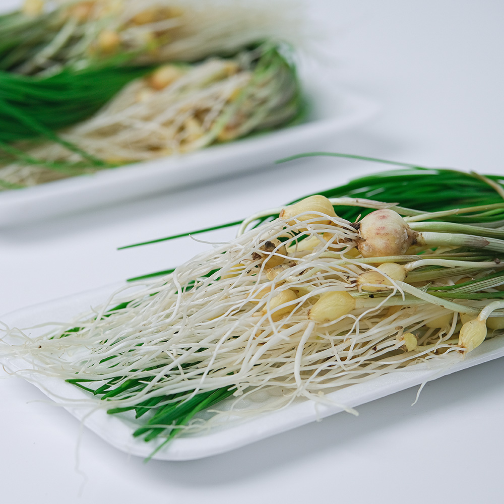 봄내음 가득 국내산 달래 600g 1kg 2kg : 자연진리
