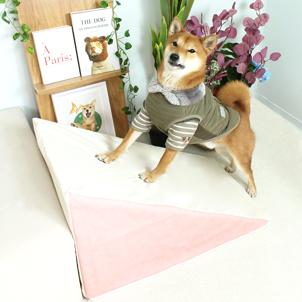 개과천선 M브리 강아지 논슬립 펫스텝 슬개골 예방 소형견 노견 애견 슬라이드 계단 - 상세 이미지 2