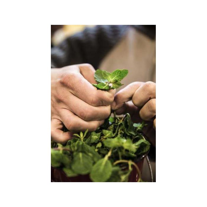 포르투갈 리스본 음식과 문화 3시간 워킹 투어 이미지 3