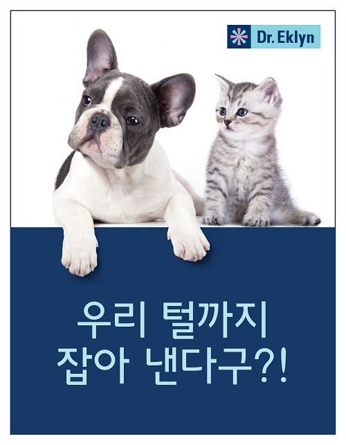 닥터에클린 청소용품 세트 밀대청소기 윙클패드 더클 점착청소포 다용도걸레 이미지 7