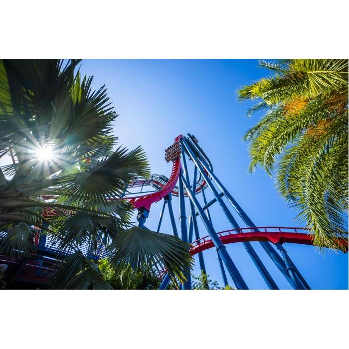 미국 플로리다 탬파 부쉬 가든스 탬파베이 (Busch Gardens Tampa Bay) 패스트트랙 입장 이미지 2