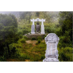 베트남 다낭 출발 바흐마 국립공원 트레킹 솔직 후기 | 실사용자 리뷰 분석 - 상품 이미지 1