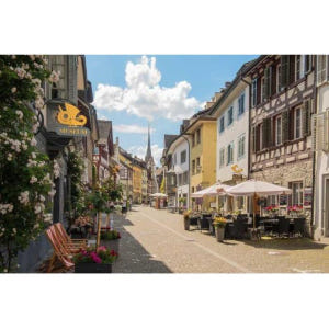 스위스 취리히 출발 슈타인 암 라인(STEIN AM RHEIN)과 라인 ... 솔직 후기 | 실사용자 리뷰 분석 - 상품 이미지 4