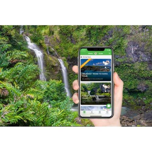 미국 하와이 마우이 자가 운전 관광 로드 트립 솔직 후기 | 실사용자 리뷰 분석 - 대표 이미지