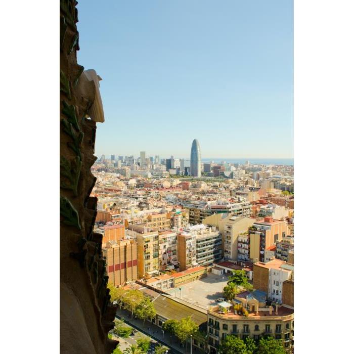 스페인 사그라다 파밀리아 가이드 투어 + 타워 이용 이미지 2