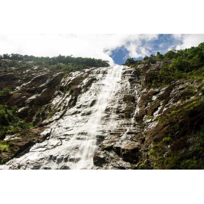 베트남 다낭 출발 바흐마 국립공원 트레킹 이미지 4