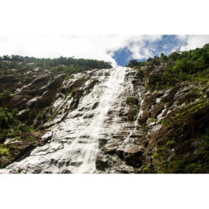 베트남 다낭 출발 바흐마 국립공원 트레킹 솔직 후기 | 실사용자 리뷰 분석 - 상품 이미지 4