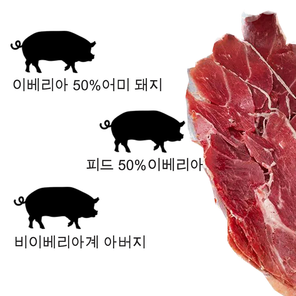 하몬 AlmAmigos 스페인 하몽 이베리코 세보 데 캄포 핸드카빙 와인안주 80g - 상세 이미지 3