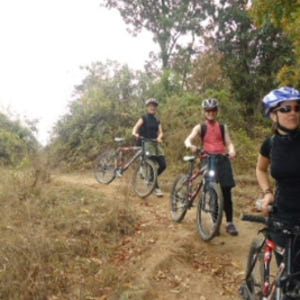 네팔 나가르코트 다운힐 산악 자전거 트레킹 솔직 후기 | 실사용자 리뷰 분석 - 상품 이미지 2